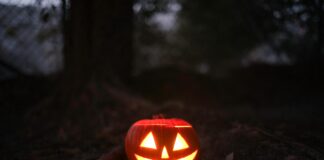 Jack o lantern in woods